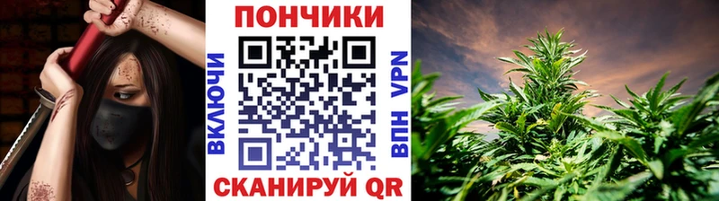 Шишки марихуана SATIVA & INDICA сколько стоит Шлиссельбург